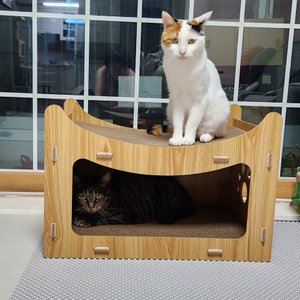 베스트 후기 이미지