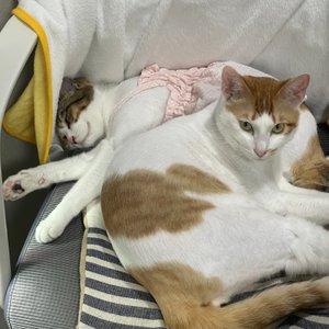 베스트 후기 이미지