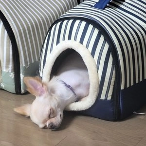 [무료배송] 해피플러스 숨숨집 이동가방 침대 S 도트 블루/스타 블루/스트라이프 그린/스트라이프 레드/스트라이프 브라운/스트라이프 블루 베스트 후기 이미지