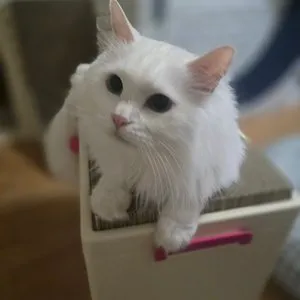 베스트 후기 이미지