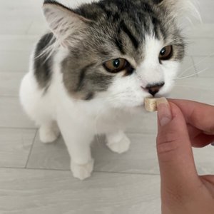 베스트 후기 이미지
