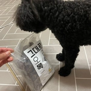 반려미식 독 무항생제 오리목뼈 300g 베스트 후기 이미지