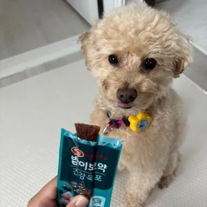 베스트 후기 이미지