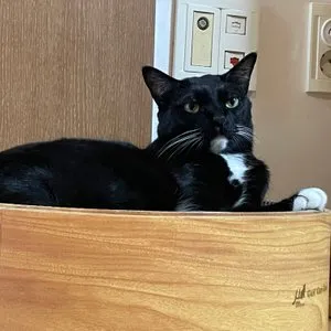 베스트 후기 이미지