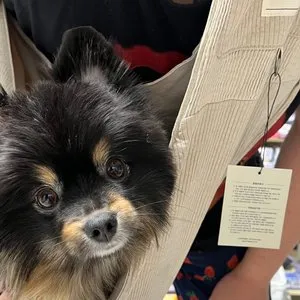 베스트 후기 이미지