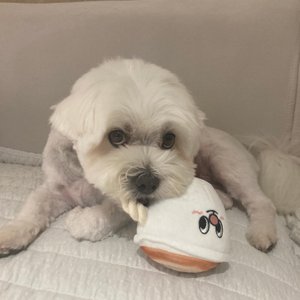 베스트 후기 이미지