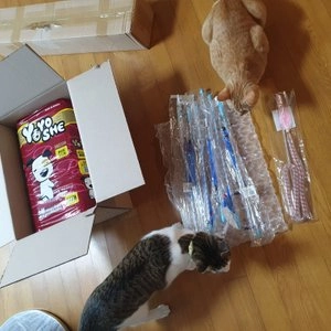 [웰컴딜] 스테이 안심텐트 & 가랜드 베스트 후기 이미지