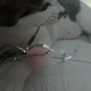 베스트 후기 이미지