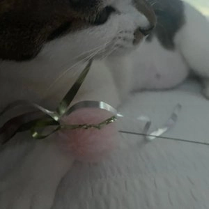 고양이섬 촤락촤락 솜솜이 화이트 베스트 후기 이미지