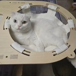 베스트 후기 이미지