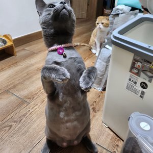 베스트 후기 이미지