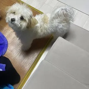 베스트 후기 이미지