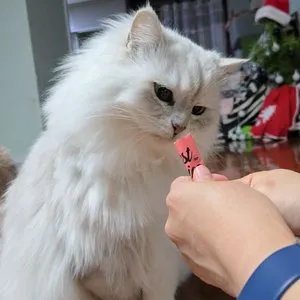 베스트 후기 이미지