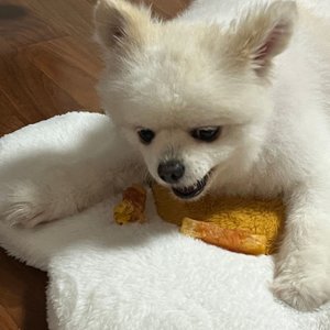 베스트 후기 이미지
