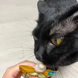 베스트 후기 이미지