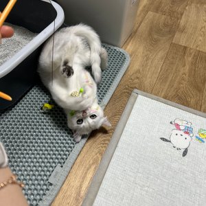베스트 후기 이미지