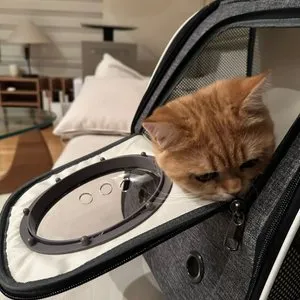 베스트 후기 이미지