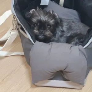 베스트 후기 이미지