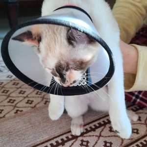 베스트 후기 이미지