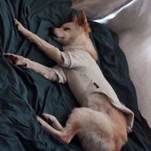 베스트 후기 이미지