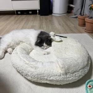 베스트 후기 이미지