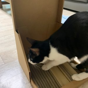 베스트 후기 이미지