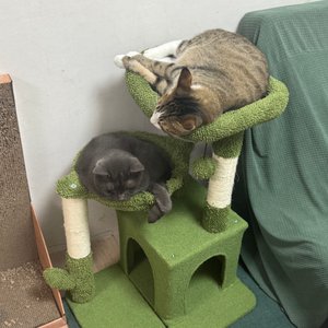 베스트 후기 이미지