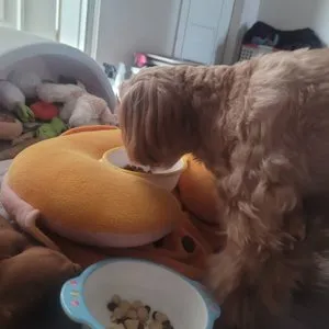 베스트 후기 이미지