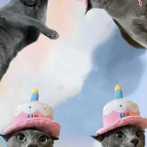 베스트 후기 이미지