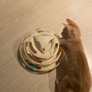 베스트 후기 이미지