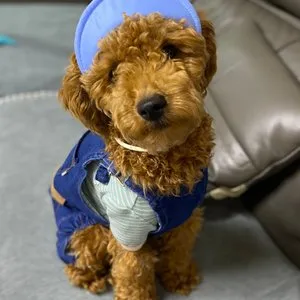 베스트 후기 이미지