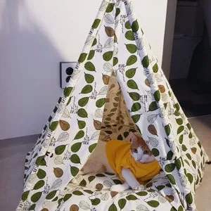 베스트 후기 이미지