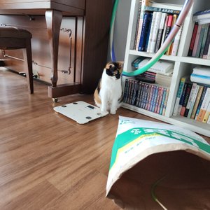 베스트 후기 이미지