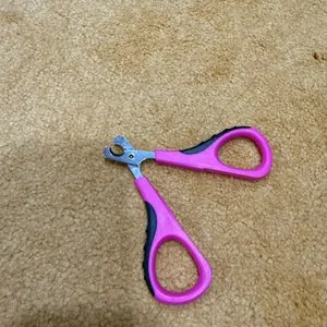 베스트 후기 이미지