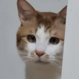 베스트 후기 이미지