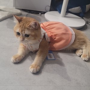 베스트 후기 이미지