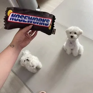 베스트 후기 이미지