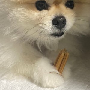 베스트 후기 이미지