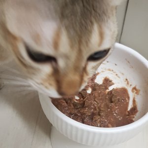 베스트 후기 이미지