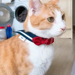 베스트 후기 이미지