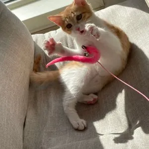 베스트 후기 이미지