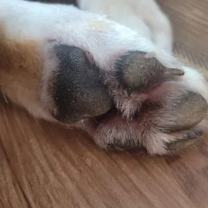 베스트 후기 이미지