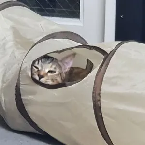 베스트 후기 이미지