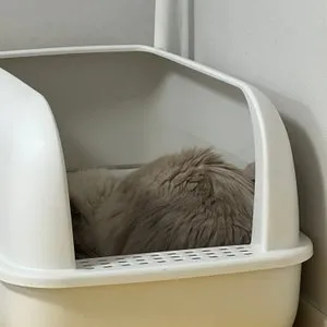 베스트 후기 이미지