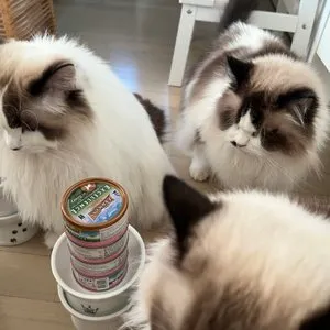 베스트 후기 이미지