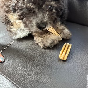 베스트 후기 이미지