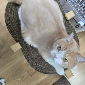 베스트 후기 이미지