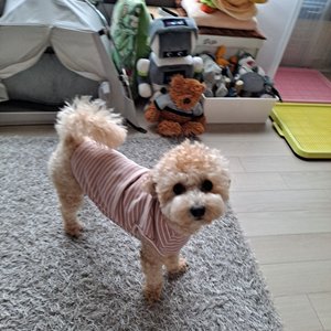 베스트 후기 이미지