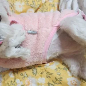 베스트 후기 이미지