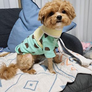 베스트 후기 이미지